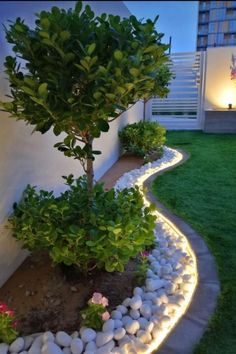 a small garden with rocks and plants in the center, along side a white wall