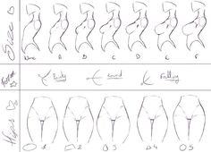 how to draw the human figure for beginners step by step drawing, drawing tips, drawing lessons, drawing techniques, drawing sketches, drawing reference poses, drawing skills, body drawing, drawing practice, anatomy, art, life, basic, person