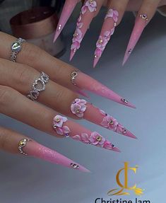 nail arts 💅 Acrylic Nail Designs Classy, Pink Stiletto Nails, Stilleto Nails Designs, July 4th Sale, Cute Acrylic Nail Designs, Blush Nails, Fall Acrylic Nails