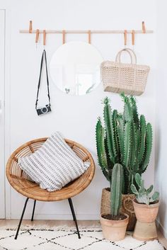 a room with plants and hanging baskets on the wall next to a round mirror, potted cacti and a wicker chair