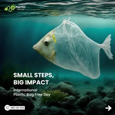 a plastic bag floating in the ocean with text that reads small steps, big impact international plastic bag free day