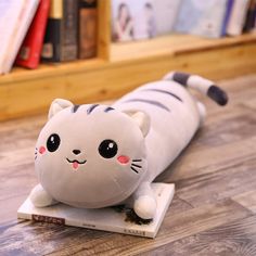 a stuffed cat laying on top of a wooden floor next to a bookshelf