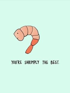 a shrimp with the words you're shrimpy the best in black ink on a light blue background