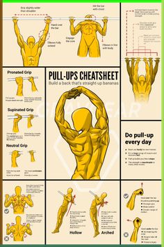 an info sheet shows how to do pull ups in the gym and exercise with muscles