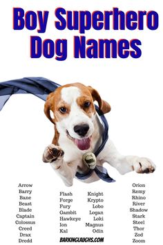 there is a poster with a dog wearing a scarf on it's back and the words boy superhero dog names below