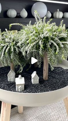 a white table topped with lots of plants and small houses on top of black gravel