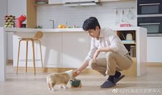 a man kneeling down to feed a cat food from a small bowl on the floor