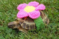 a small crocheted turtle with a pink flower on its head sitting in the grass