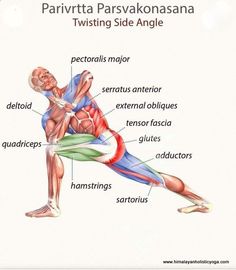 an image of a man doing exercises on his cell phone, with the words parivtta parvsalakonsana twisting side angle