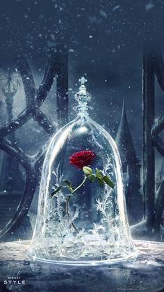 a red rose in a glass dome with snow on the ground and trees behind it