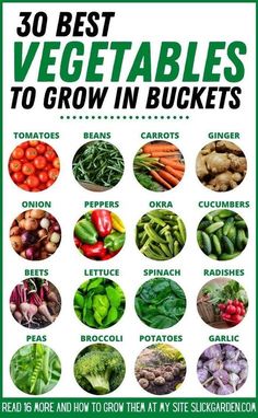 the 30 best vegetables to grow in buckets poster is shown with different types of vegetables