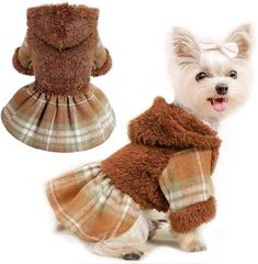 a small dog wearing a coat and dress