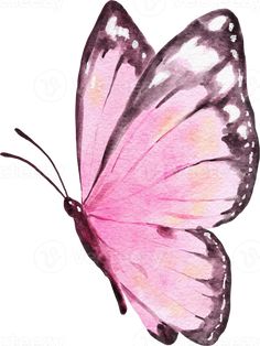 a watercolor painting of a pink butterfly with black spots on it's wings