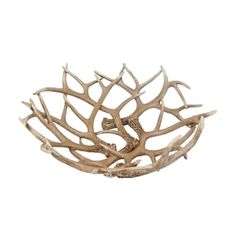 a bowl made out of antlers on a white background