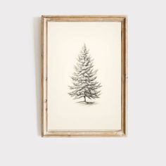 a drawing of a pine tree hanging on the wall in a wooden frame with a white background