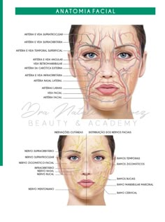 Facial Anatomy For Injectors, Face Muscles Anatomy, Anatomy Of The Face, Aesthetic Nurse, Dental Photography, Skin Moles