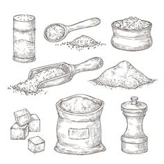 hand drawn illustration of spices and salt