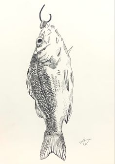 a drawing of a fish with horns on it's head