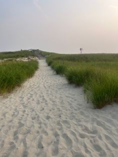 the path to the beach is lined with tall green grass and sand, leading into the distance