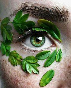 an eye with green leaves around it and the eyes are painted to look like leaves