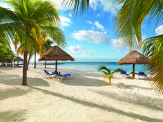 beach chairs and straw umbrellas are on the sand