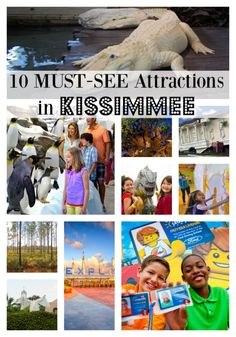 the top ten must see attractions in kissimmee