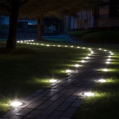 some lights that are on the ground in the grass and one light is turned on