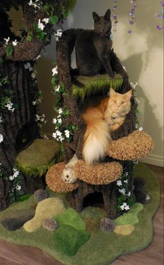 a cat is sitting on top of a tree