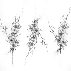 three drawings of flowers are shown in black and white