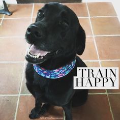 a black dog sitting on top of a tile floor next to a white sign that says train happy