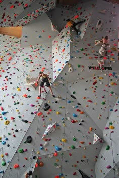 two people climbing up the side of a wall with colorful rocks and ropes on it