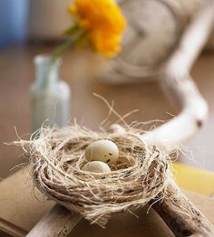 a bird's nest with eggs in it on top of a piece of cardboard