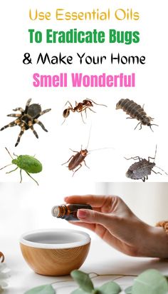 Keep bugs at bay naturally with essential oils! Discover how to harness the power of nature to repel pesky insects from your home. From lavender and peppermint to citronella and tea tree oil, there are many essential oils known for their insect-repelling properties. Learn how to create your own DIY bug sprays, candles, and diffuser blends using essential oils. These natural solutions not only keep bugs away but also leave your home smelling fresh and pleasant. Say goodbye to chemical-laden insecticides and embrace the power of essential oils for a bug-free living space. Essential Oil Candle Recipes, Insect Repellent Homemade, Diy Bug Spray, Using Essential Oils, Essential Oil Diffuser Blends, How To Mix, Oil Diffuser Blends, Essential Oil Candles