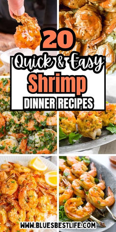 A collection of shrimp recipes. Fast Shrimp Recipes Dinners, Easy Way To Cook Shrimp, Shrimp Already Cooked Recipes, Easy Ways To Cook Shrimp, Ways To Cook Shrimp, Seafood Dish Recipes, Chicken And Shrimp Recipes, Shrimp Dinner