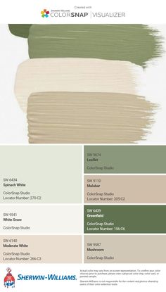 the color scheme for sherylin williams's paint