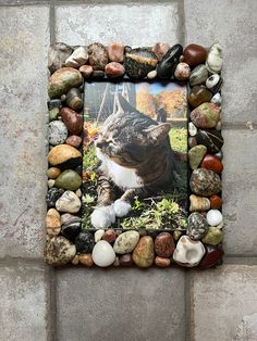 a cat is sitting in the middle of some rocks and stones on top of it