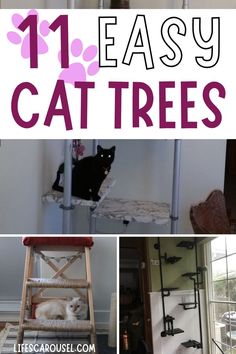 cat trees that are easy to make and great for cats