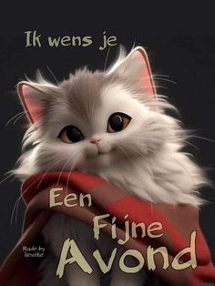 a white cat wearing a red scarf with the words een fine avoid on it