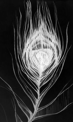 a black and white photo of a bird's feather with long, thin feathers