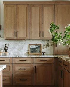 a kitchen with wooden cabinets and marble counter tops, potted plant in the corner