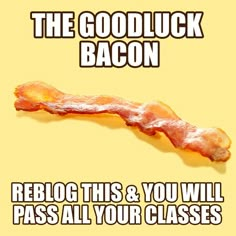 bacon on yellow background with caption that reads, the good luck bacon reblog this & you will pass all your classes