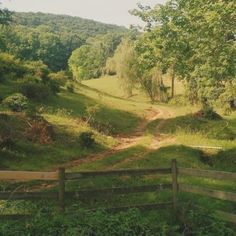 a dirt road in the middle of a lush green field