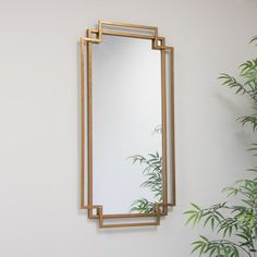 a mirror hanging on the wall next to a potted plant