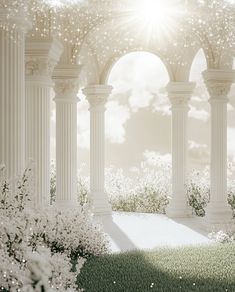 the sun shines brightly through an arch in a garden with white flowers and trees