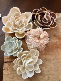 several different types of succulents sitting on top of a wooden board