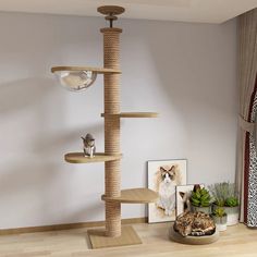 a cat tree in the corner of a room