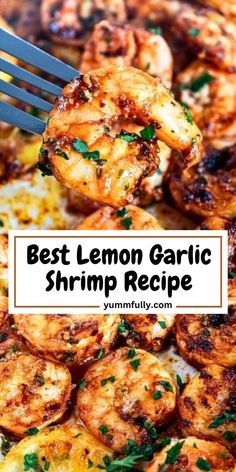 the best lemon garlic shrimp recipe on a plate with a fork