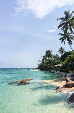 the beach is lined with palm trees and clear blue water