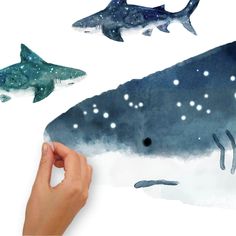 someone is drawing on paper with watercolors and then it looks like they are swimming in the ocean