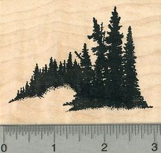 a rubber stamp with trees and mountains in the background, on a ruler board that is measuring